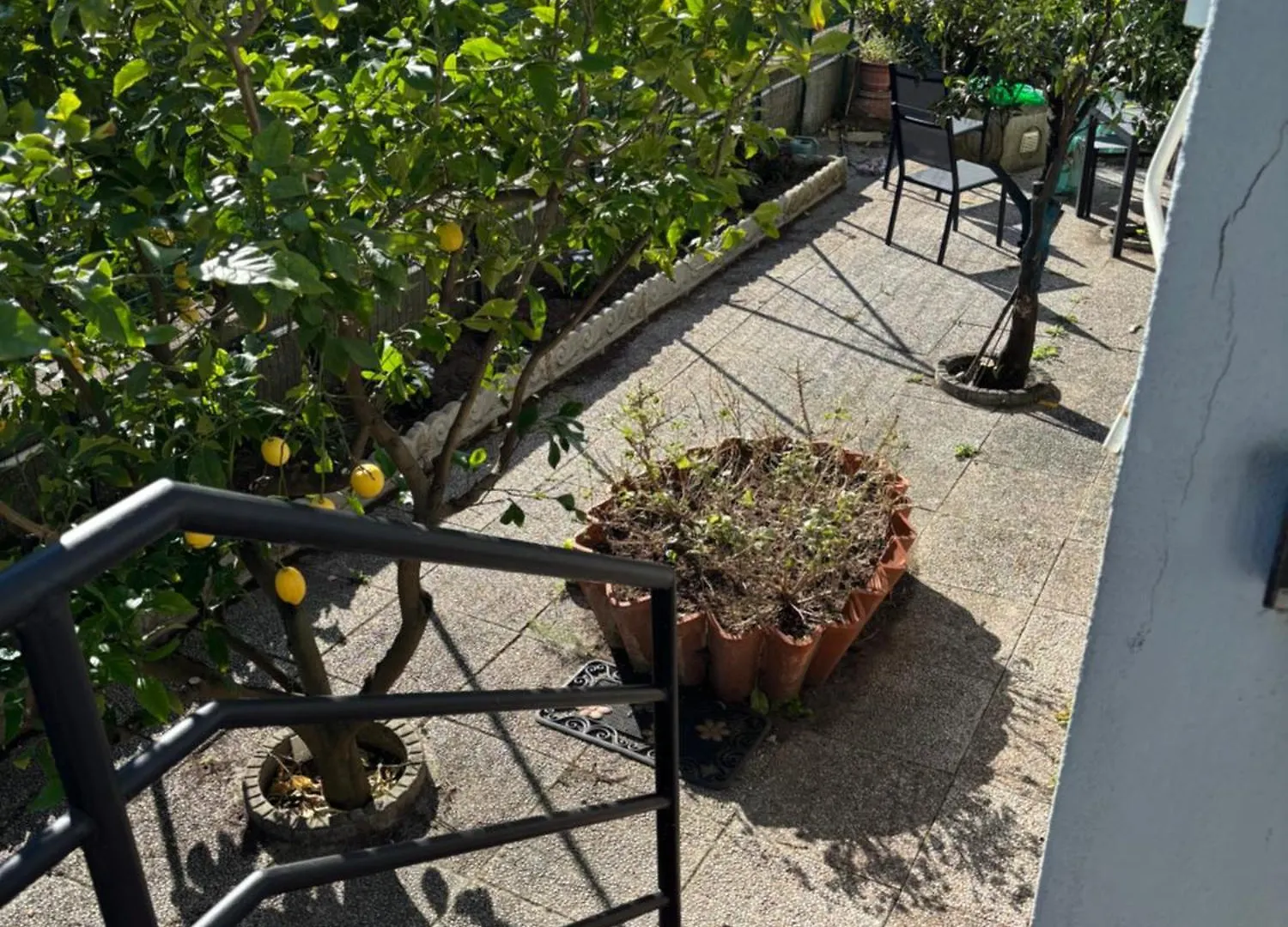 Casa Irma Follonica Apartment Italy